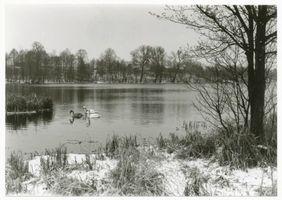  Talter See, Bucht mit Schwänen im Talter Gewässer Masurische Seen