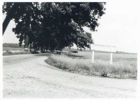 Kleinfriedeck, Kreis Angerapp Kleinfriedeck, Straße nach Insterburg Кляйнфридек, дорога на Инстербург