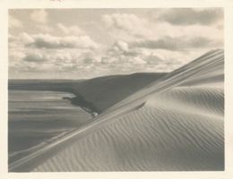  Kurische Nehrung, Dünenzug Kurische Nehrung, Dünen