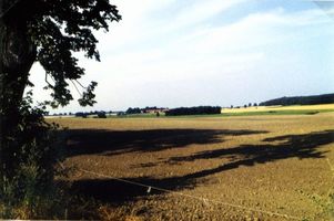 Trosienen, Kreis Bartenstein Trosienen (Trosin), Blick vom Park Juditten (Judyty) nach Trosienen (Trosin) 