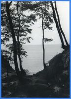 Warnicken, Kreis Samland Warnicken, Wolfsschlucht VI 