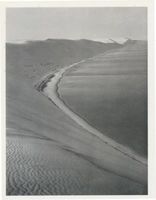  Kurische Nehrung, Dünen, bis zu 63 Meter hoher Sandwall Kurische Nehrung, Dünen, Sandstrukturen