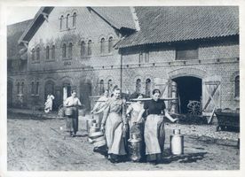 Reichau Kr. Mohrungen, Kreis Mohrungen Reichau Kr. Mohrungen,  Melkfrauen  auf dem Weg von der Gutsmeierei zum Kuhstall 