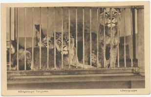 Königsberg (Pr.), Stadtkreis Königsberg Hufenallee