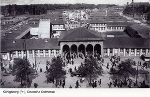 Königsberg (Pr.), Stadtkreis Königsberg 