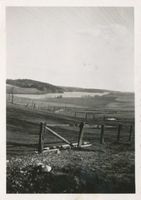 Nariensee, Blick von der Chaussee nach Willnau Kreis Mohrunen 