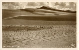  Kurische Nehrung, Die Wunder der Dünenwelt II Куршская коса, чудеса мира дюн, II