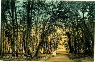 Upalten Kr. Angerburg, Kreis Angerburg 