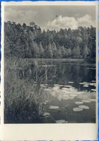  Osterode (Kreis), Silbersee bei Pillauken 