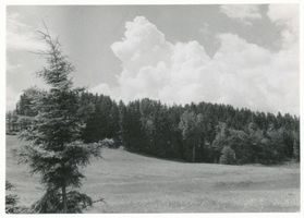  Masuren, Landschaft am Lasseck-See Masurische Seen