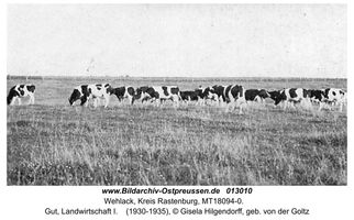 Wehlack, Kreis Rastenburg 