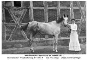 Heinrichshöfen Kr. Rastenburg, Kreis Rastenburg 