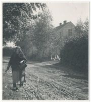 Sulimmen Kr. Lötzen, Kreis Lötzen Sulimmen Kr. Lötzen, Dorfstraße Зулиммен, р-н Лётцен, деревенская улица