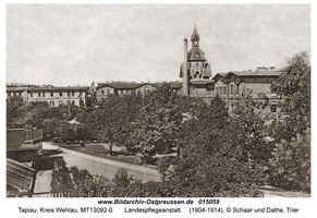 Tapiau, Kreis Wehlau  