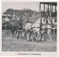 Insterburg, Stadt, Stadtkreis Insterburg Insterburg, Turnierplatz, Fünferzug aus dem Wehrkreisturnier Insterburg, Turnierplatz