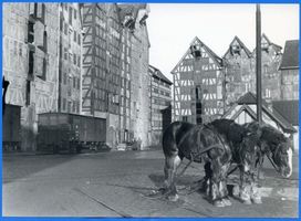 Königsberg (Pr.), Stadtkreis Königsberg Königsberg (Pr.), Pferde vor alten Speichern 