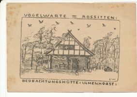 Rossitten Kr. Samland, Kreis Samland Rossitten Kr. Samland, Vogelwarte, Beobachtungshütte Ulmenhorst (Zeichnung) 