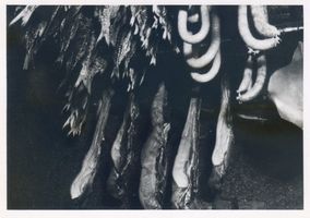  Kurisches Haff, Fische und  Schweinernes  in der Räucherkammer Kurisches Haff, Fischerei