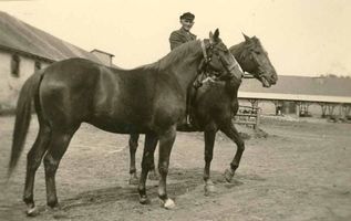 Margen Kr. Elchniederung, Gut, Kreis Elchniederung 