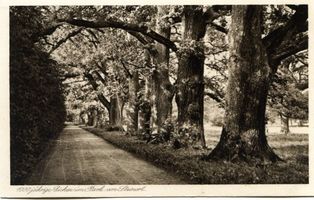 Steinort Kr. Angerburg, Ort, Kreis Angerburg 