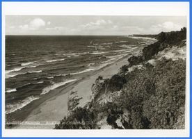 Rauschen Kr. Samland, Kreis Samland Rauschen Kr. Samland, Blick von der Cordollingschlucht Rauschen, Strand