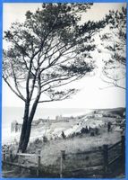 Kahlberg-Liep, Ort, Kreis Elbing Kahlberg-Liep, Blick vom Russenberg zum Strandbad II Кальберг-Лип, вид с Руссенберга на пляж, II