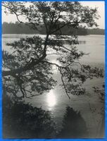  Niedersee XVI Masurische Seen