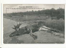 Elchwerder Kr. Labiau, Oberförsterei und Försterei, Kreis Labiau 