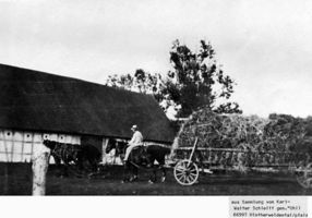 Groß Scharlack, Kreis Labiau Groß Scharlack, Erntewagen vor der Scheune Schleiff Гросс-Шарлак, уборочная телега перед амбаром Шлайфф