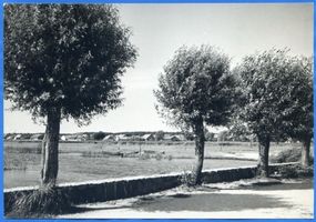 Zimmerbude, Kreis Samland Zimmerbude, Blick auf den Ort über den Königsberger Seekanal Циммербуде, вид на местечко через Кёнигсбергский судоходный канал