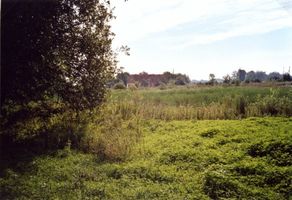 Heyde Kr. Bartenstein, Kreis Bartenstein Heyde (Костюковка), Reste des verlandeten Gutsteiches 