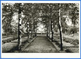 Goldap, Kreis Goldap Mühlentor