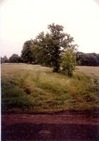 Stockheim, Kreis Bartenstein Stockheim (Зайцево), Ehemaliger Standort der Villa Perkuhn, ganz rechts der Park 