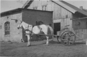 Wartenfeld Kr. Elchniederung, Kreis Elchniederung 