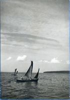  Frisches Haff, Segelboote auf der Fischhausener Wiek 