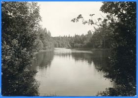 Lötzen, Stadt, Kreis Lötzen Lötzen, Karpfenteich im Stadtwald III Лётцен, карповый пруд в городском лесу, III