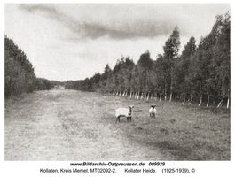 Kollaten, Kreis Memel 