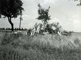 Johannisburg, Kreis Johannisburg 