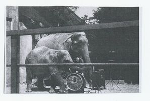 Königsberg (Pr.), Stadtkreis Königsberg Hufenallee