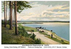 Goldap, Kreis Goldap 