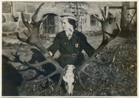  Rominter Heide, Trophäe vom Kapitalhirsch Роминтская пуща, трофей оленя-рекордсмена