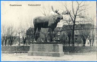 Gumbinnen, Stadt, Kreis Gumbinnen Magazinplatz Gumbinnen, Elchstandbild X Gumbinnen, Elchdenkmal
