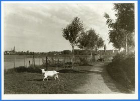Ortelsburg, Stadt, Kreis Ortelsburg Ortelsburg, Partie am Haussee III Ортельсбург, место у озера Хаусзе, III