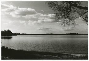  Dobensee, See mit Kormoraninsel Добензее, озеро с бакланьим островом