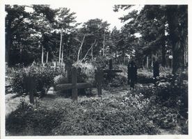 Nidden, Kreis Memel Nidden, Friedhof XXV Nidden, Friedhöfe