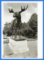 Gumbinnen, Stadt, Kreis Gumbinnen Magazinplatz Gumbinnen, Elchstandbild VI Гумбиннен, памятник лосю, VI