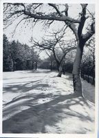 Königsberg (Pr.), Stadtkreis Königsberg Königsberg (Pr.), Am Landgraben - Winter IV 