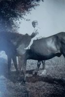 Adlig Linkuhnen, Kreis Elchniederung 