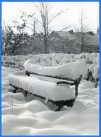 Tilsit, Stadt, Stadtkreis Tilsit Tilsit, Parkbank im Schnee 