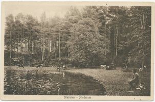  Masuren, Niedersee XII 
